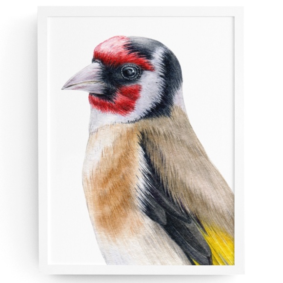 Other - Watercolor Wall Art Goldfinch Bird Illustration Print Poster Unframed
